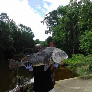 Meet your Posher, Leon